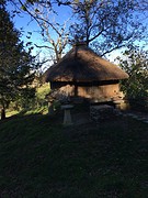 IMG_9917