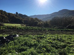 IMG_9923