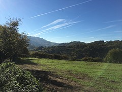IMG_9932