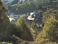 IMG_9933