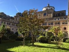 IMG_9937