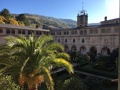IMG_9938