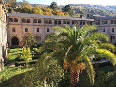 IMG_9939