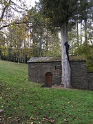 IMG_9946