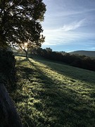IMG_9958