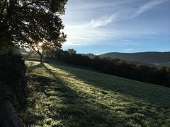 IMG_9959