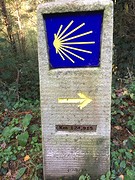 IMG_9960