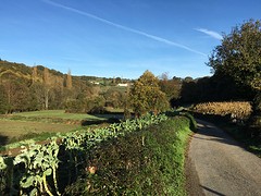 IMG_9961