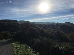 IMG_9966