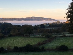 IMG_0011