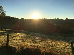 IMG_0013