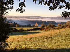 IMG_0014
