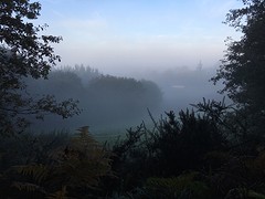 IMG_0018