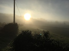 IMG_0019