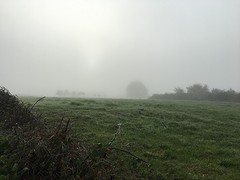 IMG_0025