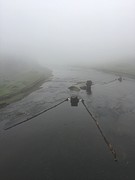 IMG_0027
