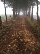 IMG_0030