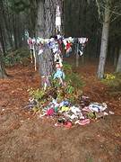 IMG_0031