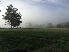 IMG_0032