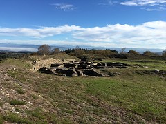 IMG_0040