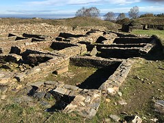 IMG_0041