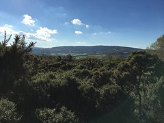 IMG_0042