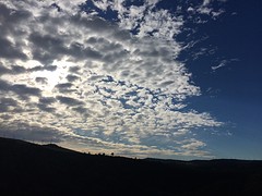 IMG_7077