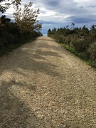 IMG_0302
