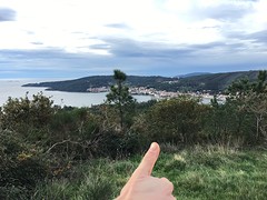 IMG_0306