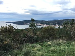 IMG_0307