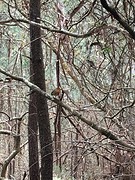 IMG_0312