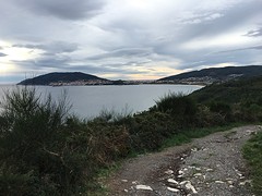 IMG_0319