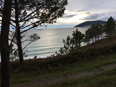 IMG_0320