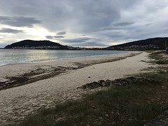 IMG_0322