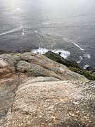 IMG_0334