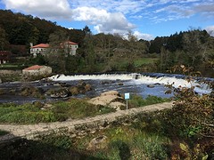 IMG_0218