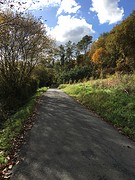 IMG_0220