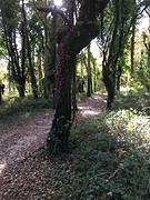 IMG_0221