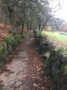 IMG_0590