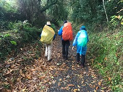IMG_0596