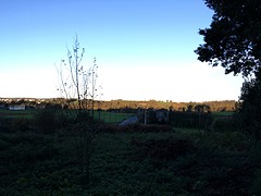 IMG_0237