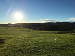 IMG_0238