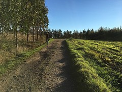 IMG_0239