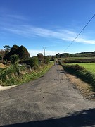 IMG_0244