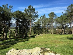 IMG_0245