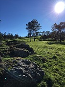IMG_0249