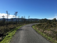 IMG_0252