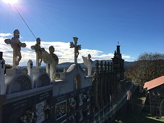 IMG_0253