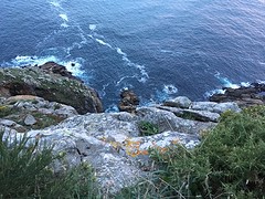 IMG_0438