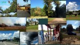 11-10 collage